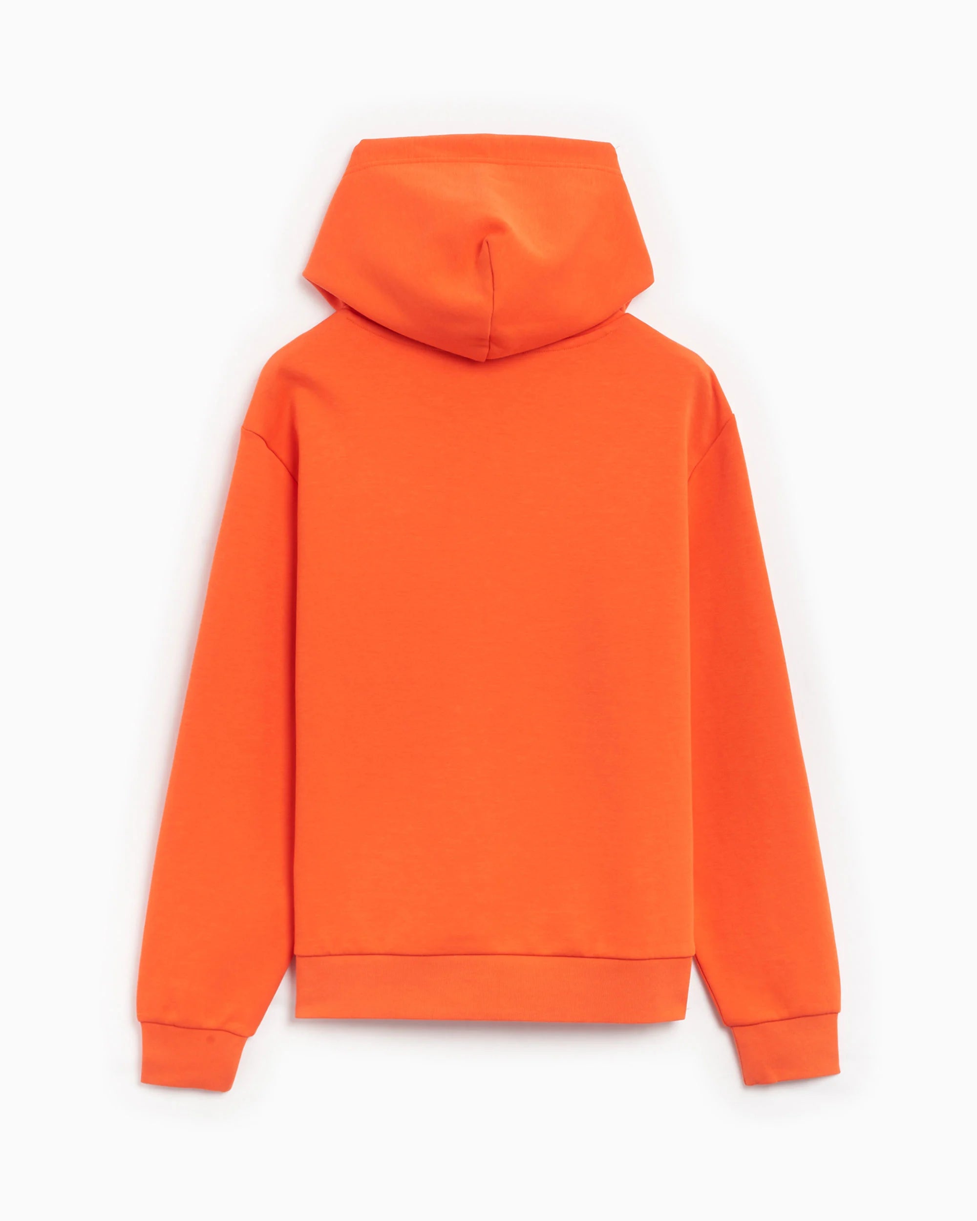 Double Knit Tech Embroidered Script Graphic Pullover Hoodie